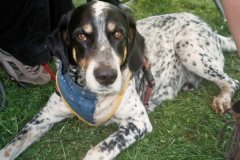 2005_20190730_2045831854