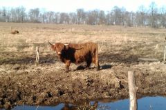 nabuwanderung_20210911_1638732002