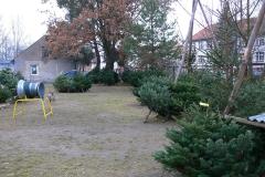 Weihnachtsbaumverkauf 2011