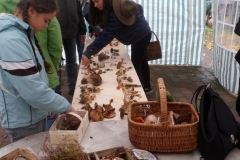 herbstlager_tangersdorf_2012_20210911_1373142128