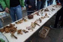 herbstlager_tangersdorf_2012_20210911_1719753419