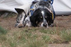 osterlager_2012_20210911_1018379589