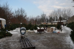 Weihnachtsbaumverkauf 2012