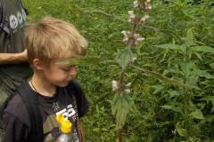 kraeuterwanderung_2014_20210911_1302721396