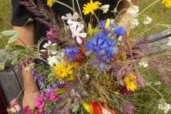 kraeuterwanderung_2014_20210911_1514958281