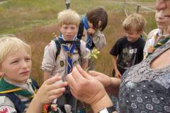 kraeuterwanderung_2014_20210911_1847099774