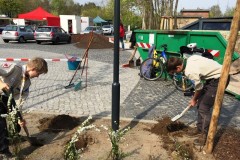 fruehjahresputz_schildow_2015_20210911_1193446369