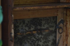 die_biber_beim_imker_2015_20210911_1241103366