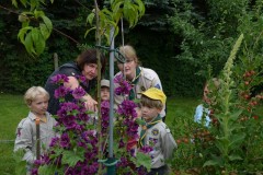 die_biber_beim_imker_2015_20210911_1495627235