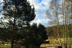 osterlager_jufis_2015_20210911_1964581798