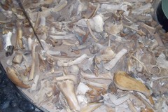 sommerlager_jomsburg_2015_20210911_1069143673