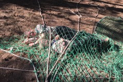 himmelfahrtslager_2016_20190804_1066630659