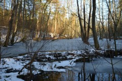 Neujahreswanderung 2016