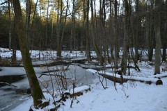 neujahreswanderung_2016_20190804_1135534402