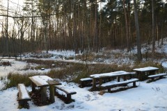 neujahreswanderung_2016_20190804_1446323687