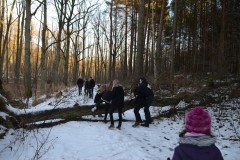 neujahreswanderung_2016_20190804_1685600838