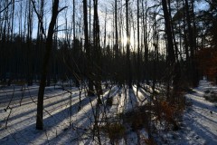 neujahreswanderung_2016_20190804_2021517085