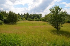 stammesgeburtsrag_2016_20190804_1502595838