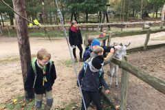 herbstlager_2017_20190730_1112681803