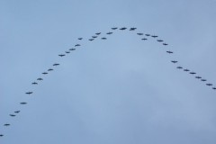 herbstlager_2017_20190730_1234616608