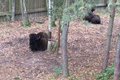 herbstlager_2017_20190730_1970991615