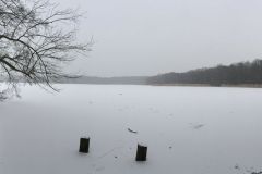 neujahreswanderung_2017_20190730_1303496567