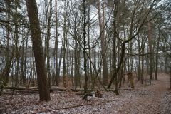 neujahreswanderung_2017_20190730_1968526929