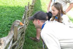 sommerlager_2017_20190730_1360933834