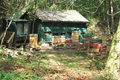 sommerlager_2017_20190730_1368308112