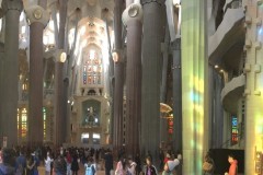 wfis_ga_in_barcelona_2017_20190730_1214778781