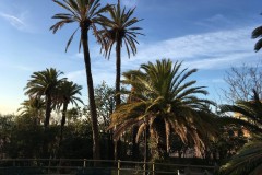 wfis_ga_in_barcelona_2017_20190730_1878802714