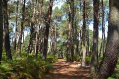 wfis_eurocamp_2018_in_england_20190730_1427343451