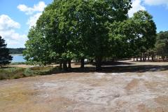 wfis_eurocamp_2018_in_england_20190730_2084266661