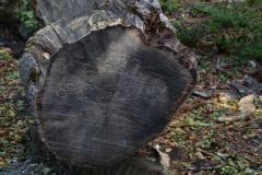 wfis_eurocamp_2018_in_england_20190730_2095980395