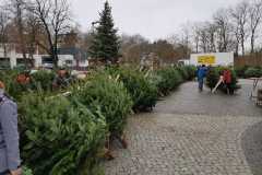 weihnachtsbaumverkauf_2019_20210911_1701467074