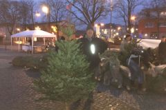 weihnachtsbaumverkauf_2019_20210911_1710813275