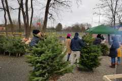 weihnachtsbaumverkauf_2019_20210911_1807389763