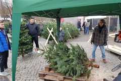 weihnachtsbaumverkauf_2019_20210911_1808215708