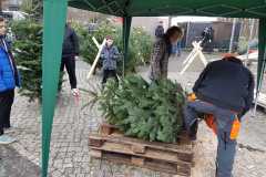 weihnachtsbaumverkauf_2019_20210911_1830780748