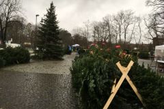 weihnachtsbaumverkauf_2019_20210911_1954671941