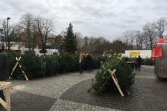 weihnachtsbaumverkauf_2019_20210911_2095192531