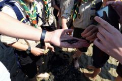 sommerlager_woelflinge_sylt_20190901_1209706382