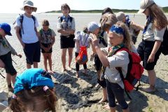 sommerlager_woelflinge_sylt_20190901_1224159971