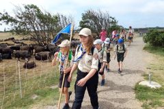 sommerlager_woelflinge_sylt_20190901_1572004845
