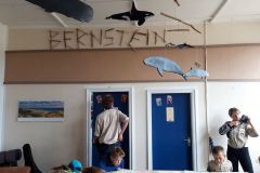 sommerlager_woelflinge_sylt_20190901_1622696409