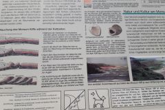 sommerlager_woelflinge_sylt_20190901_1732367228