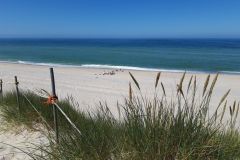 sommerlager_woelflinge_sylt_20190901_2025218670