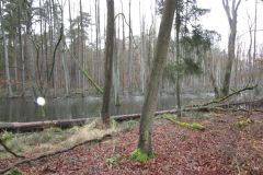 neujahreswanderung_2020_20210911_1193737574