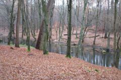 neujahreswanderung_2020_20210911_1429568224