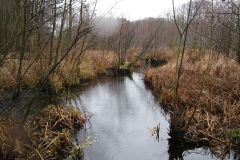 neujahreswanderung_2020_20210911_2007646258